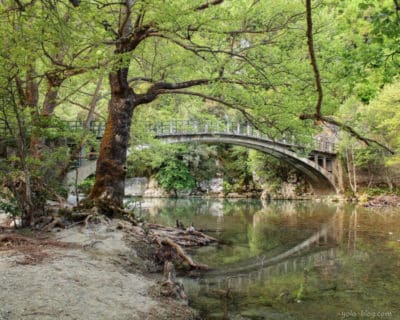 PAPINGO BRIDGE