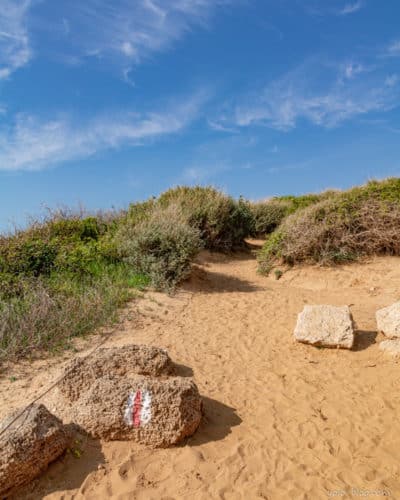 שביל המצוק בשמורת חוף השרון