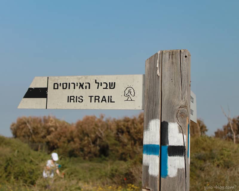 שביל האירוסים גן לאומי חוף השרון