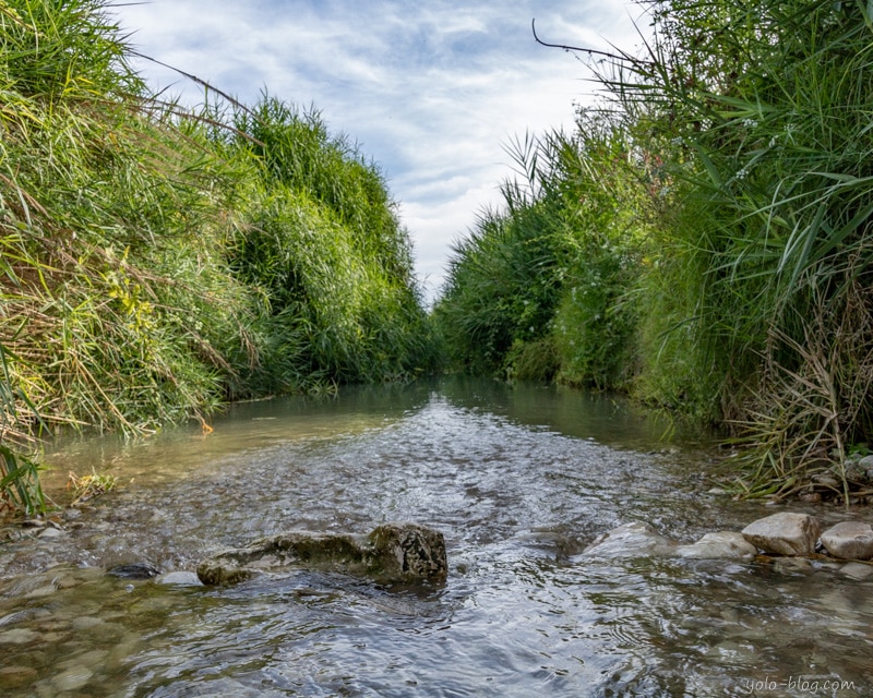 מעיינות במרכז