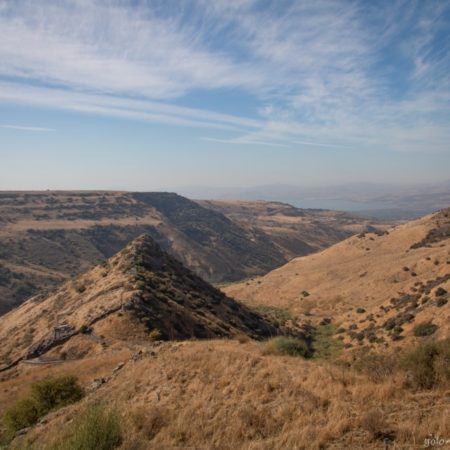 רמת הגולן - שמורת הטבע גמלא