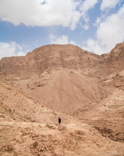 נחל דוד גב חלון