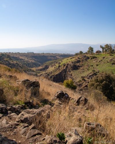 נחל ג'ילבון רמת הגולן