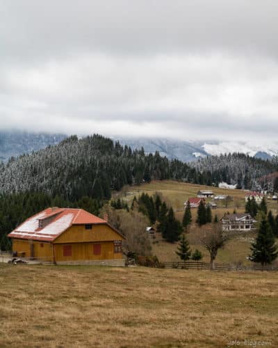 שמורת הטבע פיאטרה קרייולי רומניה