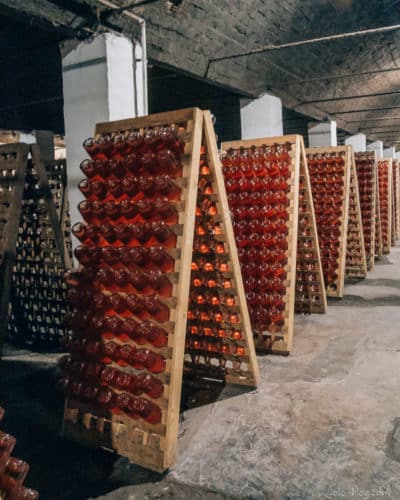 סיור טעימות יין ביקב מלכותי ברומניה