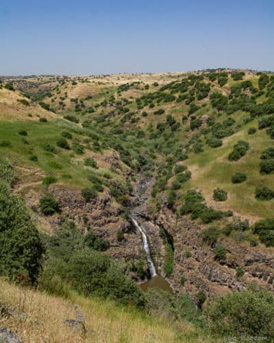 מסלול נחל יהודיה