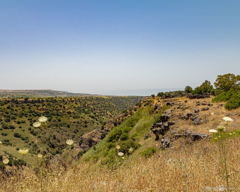 קניון שמורת יהודיה