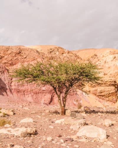 מסלול טיול הקניון האדום