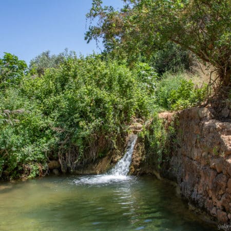 נחל צלמון – טיול מים קצר לכל המשפחה