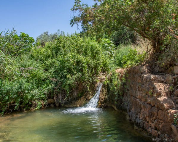 נחל צלמון – טיול מים קצר לכל המשפחה