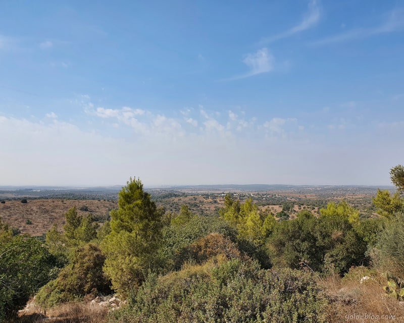 פארק בריטניה