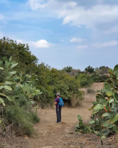 מסלול בארות ובורות המים בפארק בריטניה