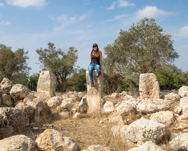 חורבת שיקרון פארק בריטניה