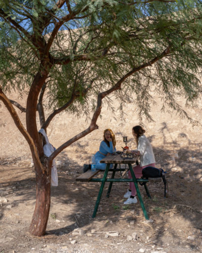 פיקניק במדבר יהודה