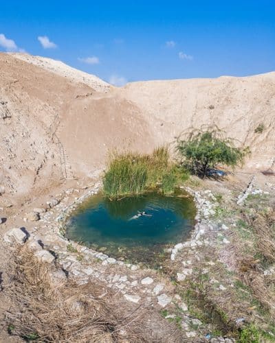 אגמון מצפה יריחו