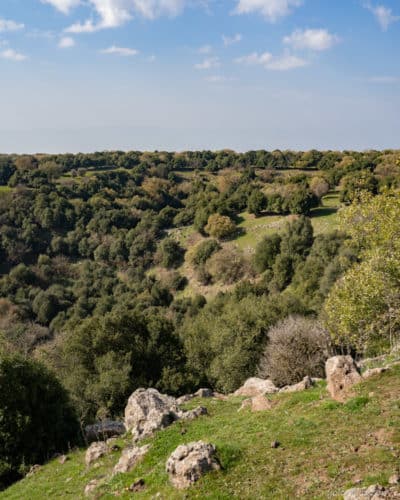 הג'ובה הגדולה רמת הגולן