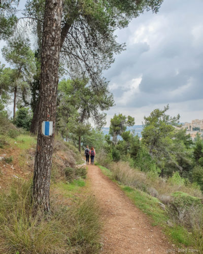 שביל הארז בירושלים