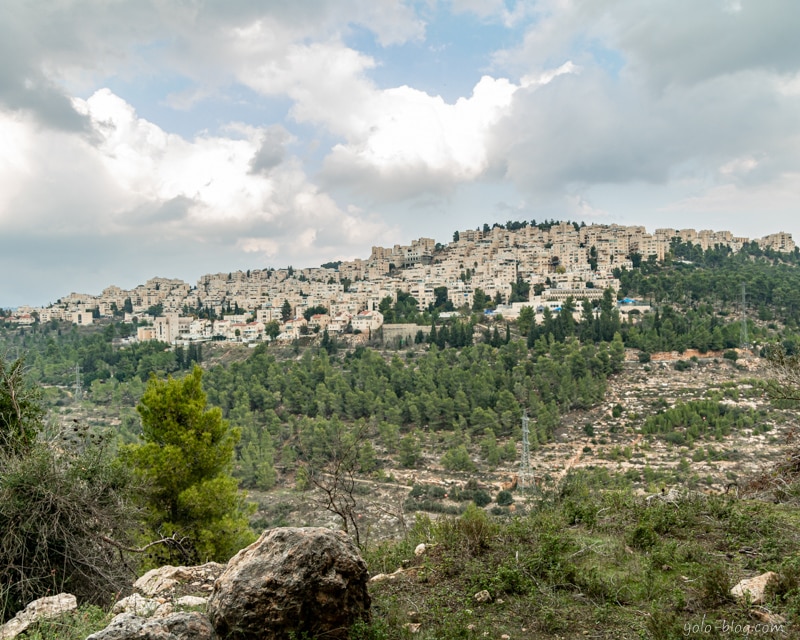 יער ירושלים