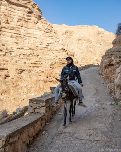 רכיבה על חמור