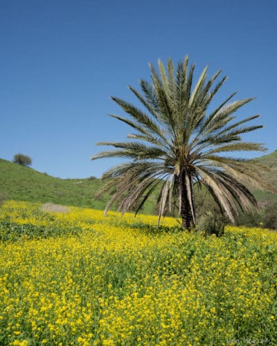 מסלול בגליל