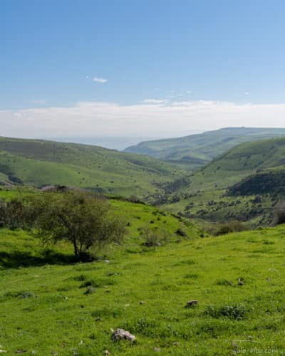 נחל תבור