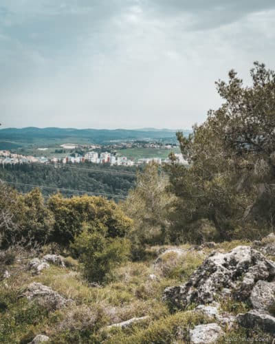 מצפור קרן הכרמל