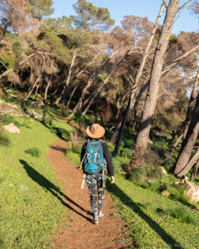 סובב הר תבור