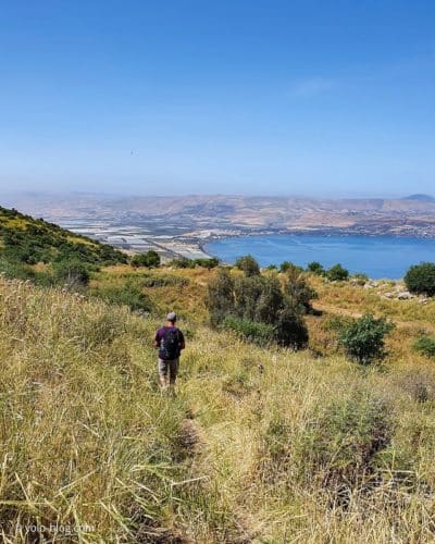 עין שוקו הגעה