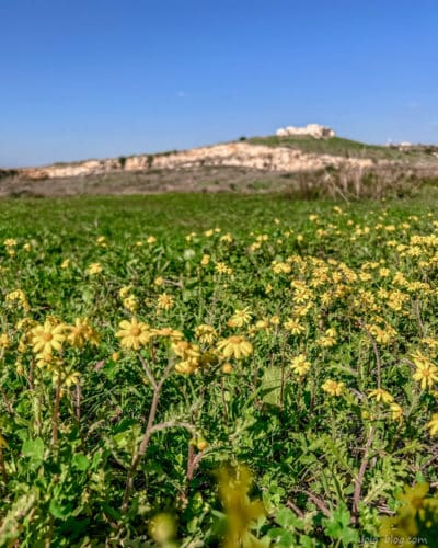 טיול במרכז הארץ